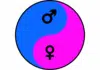 Gender Balance