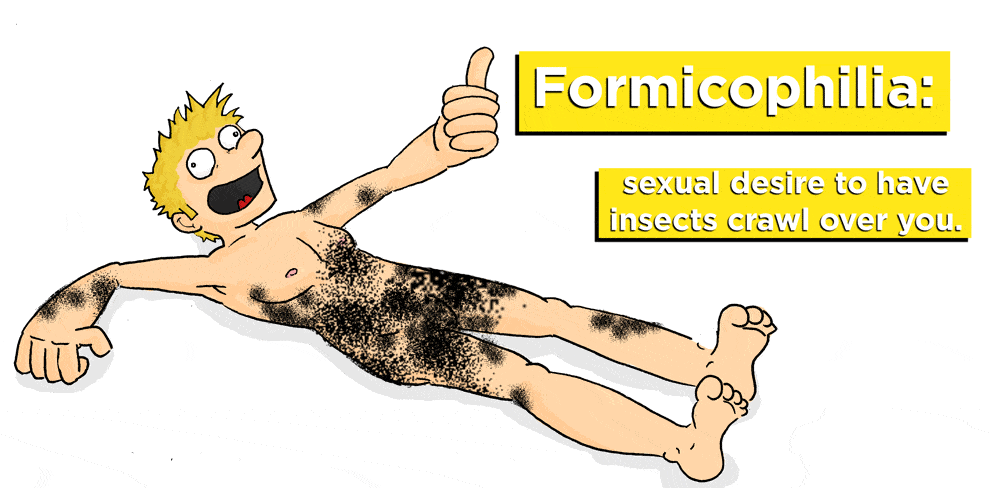 formicophilia