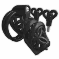 hischastitycage
