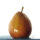 Pear_Bear