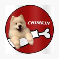Chimkin559