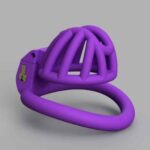 710x528_30519456_13718406_1581682714_1_0