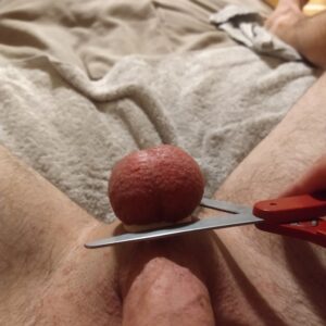 IMG_20210926_013447891
