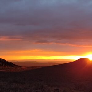 IMG_20220930_074711319